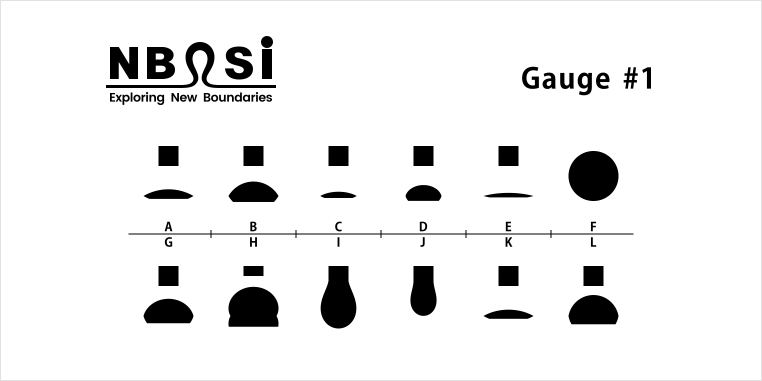 NBSI Gauge #1